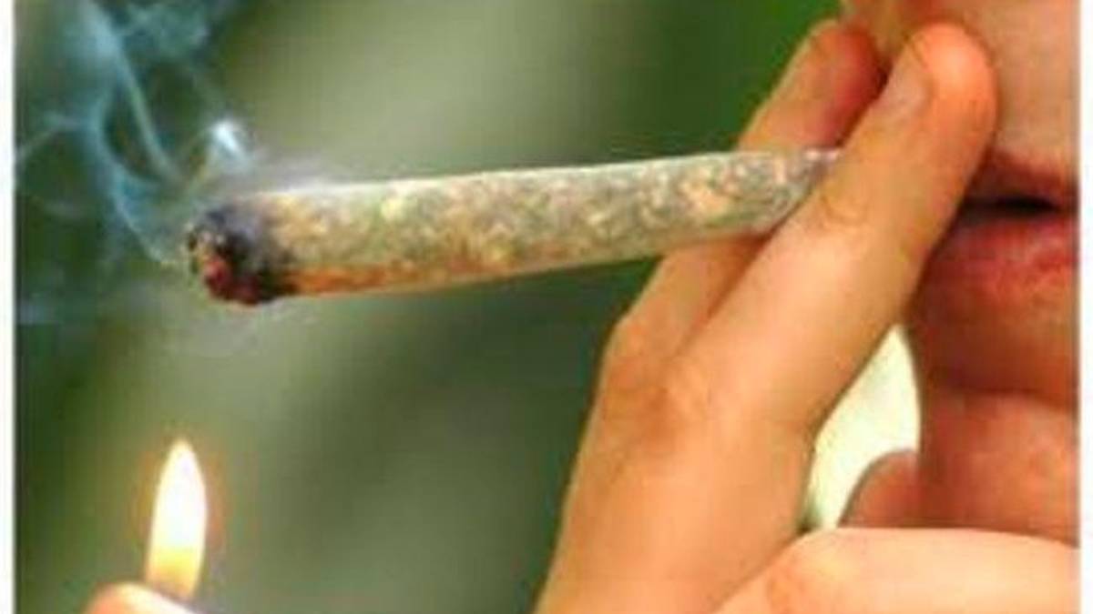 Rimini. Droga in casa ma per uso personale, professore assolto: ho fatto scorta perché l’ho trovata a prezzo conveniente