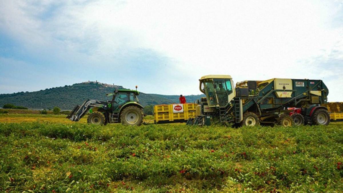 Aziende montane, nuovi contributi dalla Regione