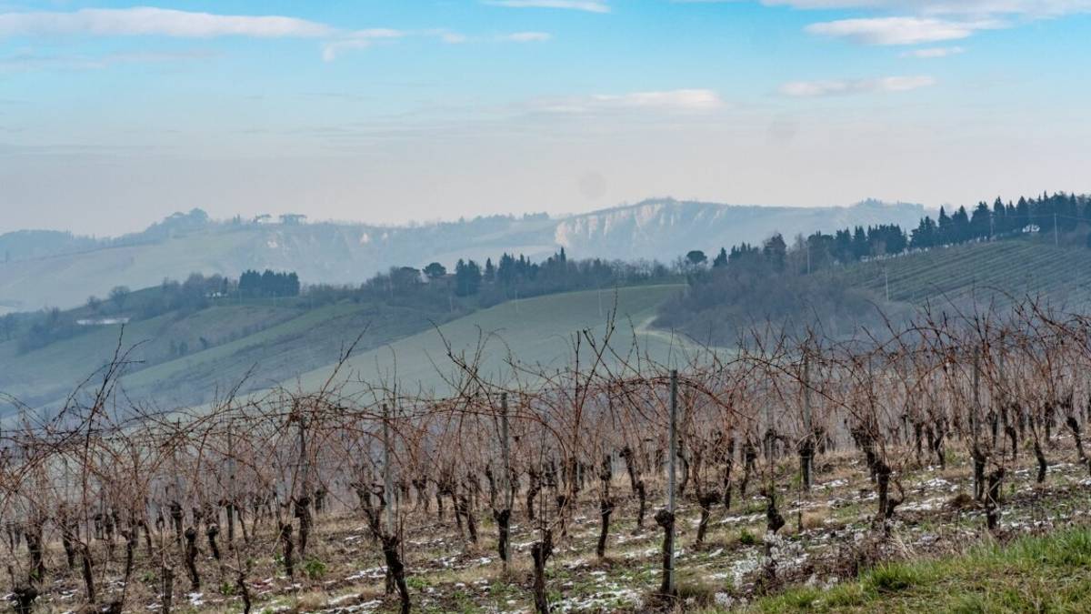 Onferno e Vena del Gesso candidati a patrimonio mondiale ambientale Unesco
