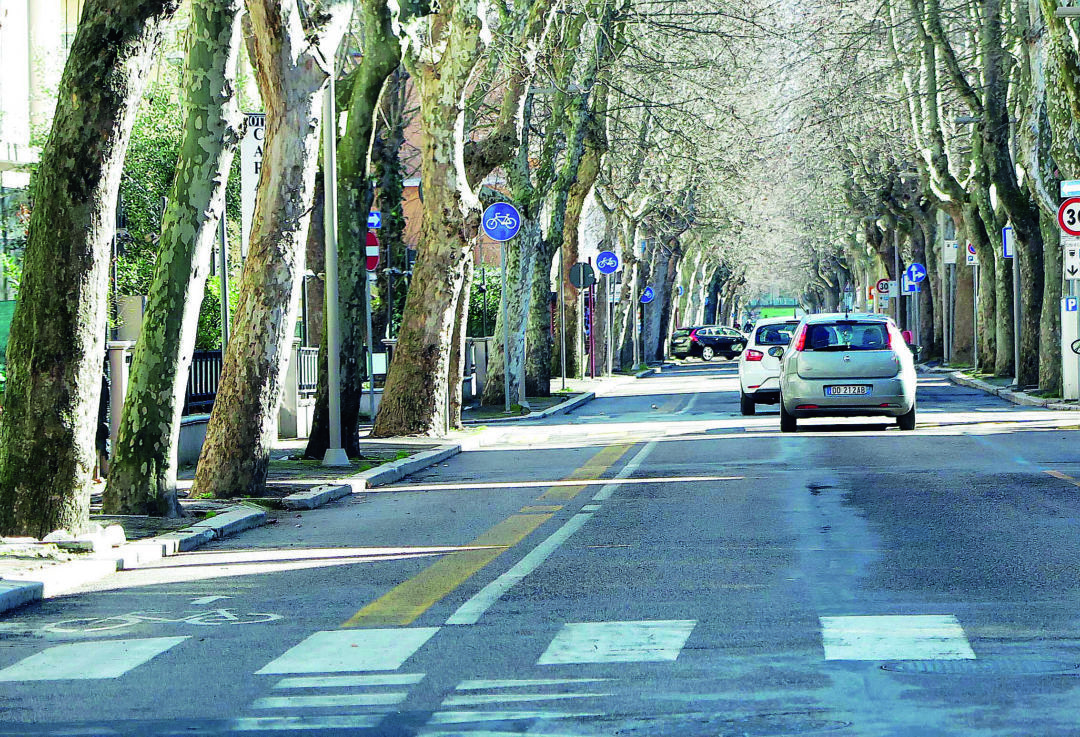 Dal casello dell'A14 fino a Cattolica, in bici sulla ciclabile