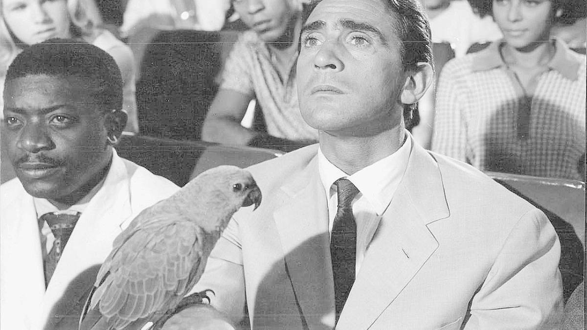 Il sarchiapone a Cervia nel nome di Walter Chiari