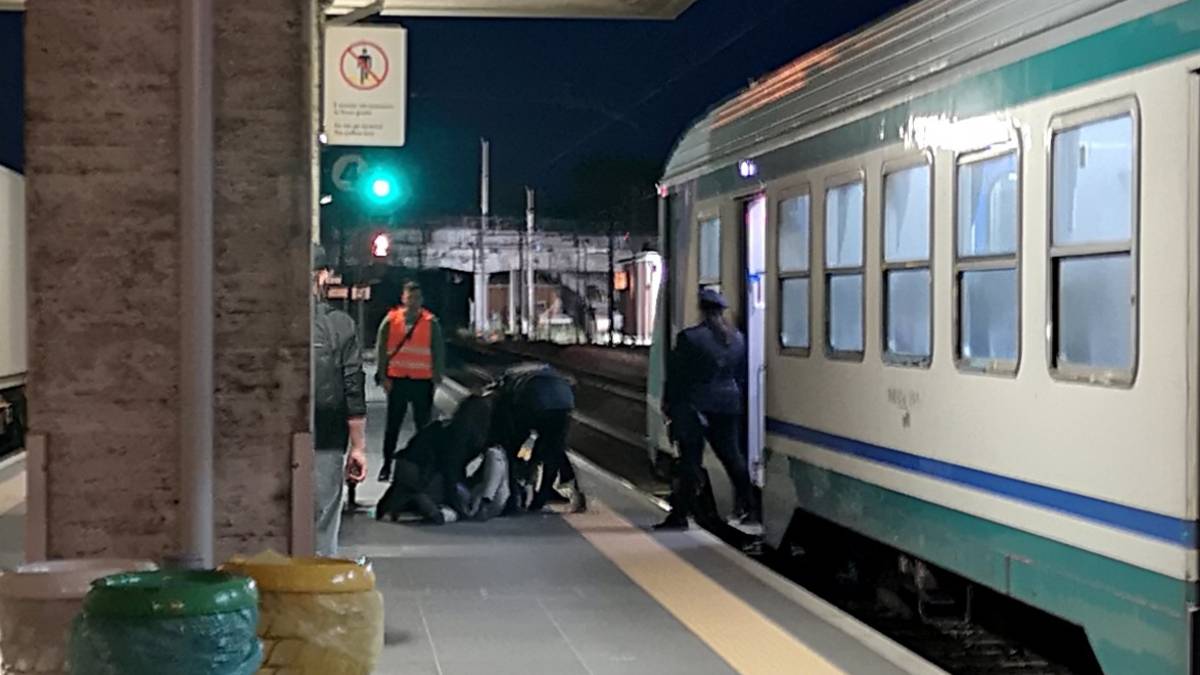 Faenza, disturba i viaggiatori di un treno con un piccione moribondo