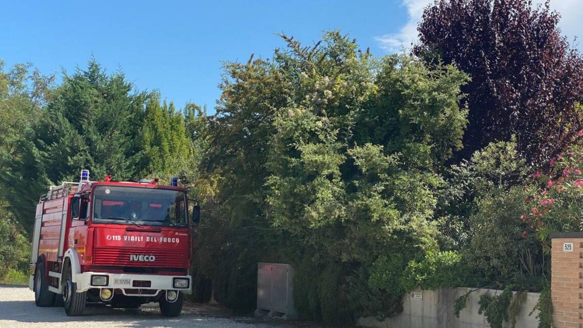 Cesena: serpente si rifugia in una casa di Martorano