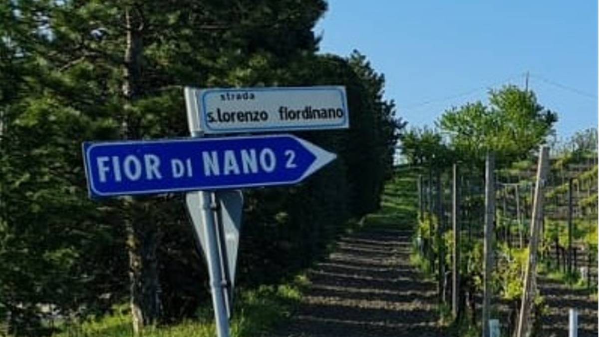Meldola, 100mila euro per la strada comunale San Lorenzo-Fiordinano