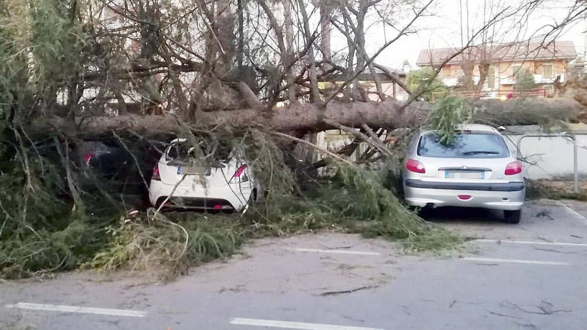 Vento a Cesena, albero sopra due auto e coppo dentro un’altra
