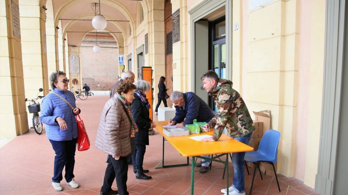 Bagnacavallo, distribuzione gratuita del larvicida per zanzare