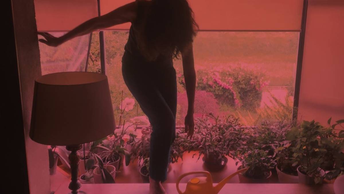 Alice: premio Tenco e nuovo disco dedicato a Battiato