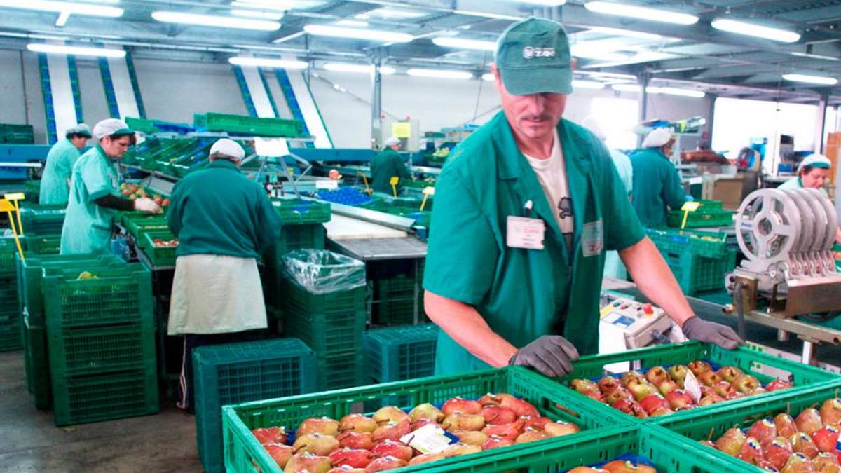 Rigettato in Corte d’Appello il ricorso dell’azienda