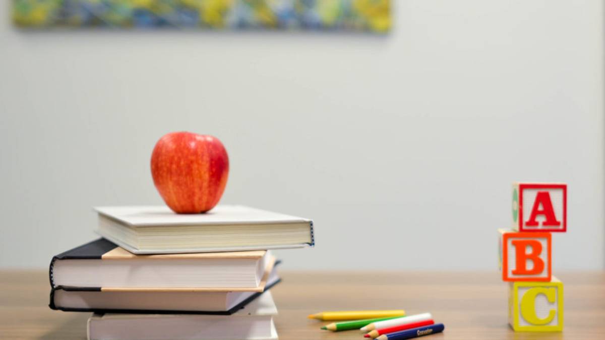 Scuola a Rimini, la giunta annuncia: «Mense e asili, sconti mai visti»