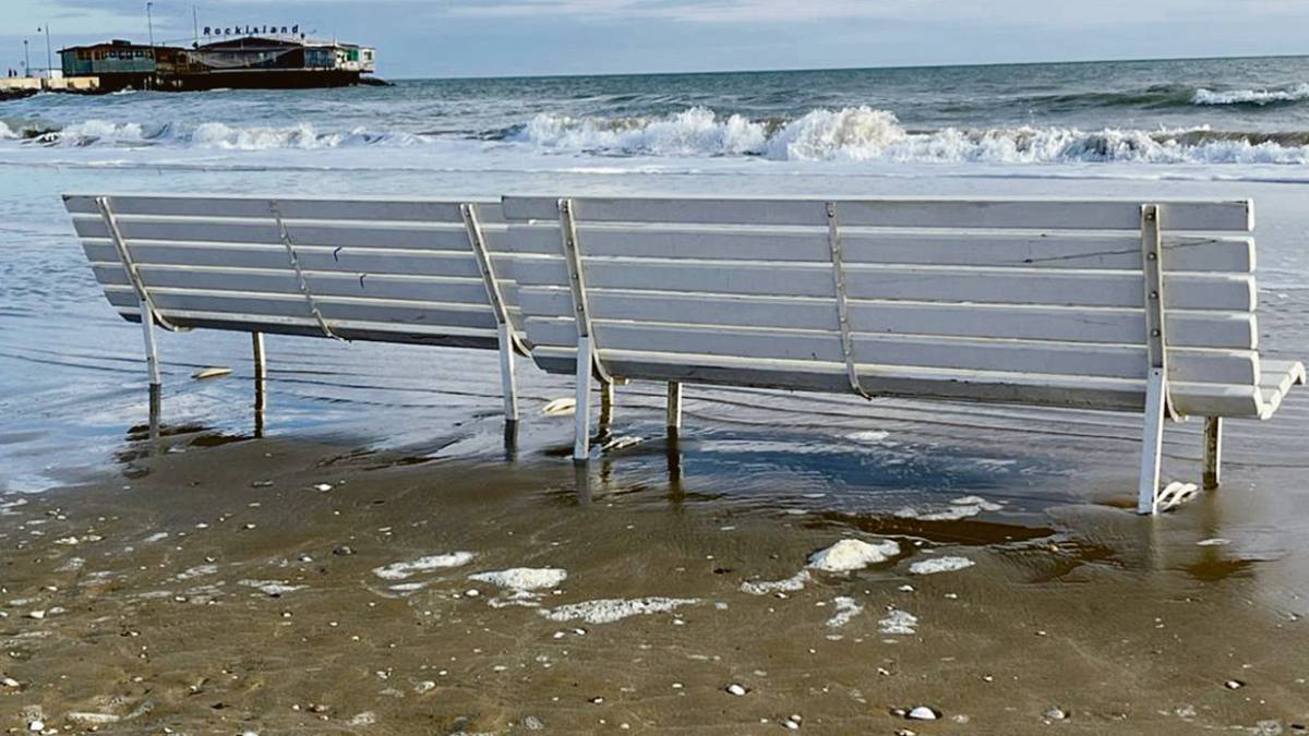 Rimini, panchine con vista mare: c'è chi lo ha preso alla lettera
