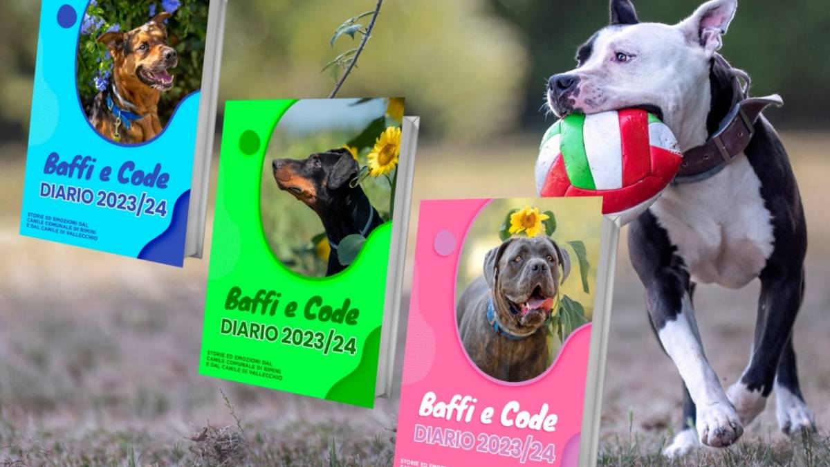 Rimini, open day al canile sabato 9 settembre: in vendita i diari scolastici Baffi e code