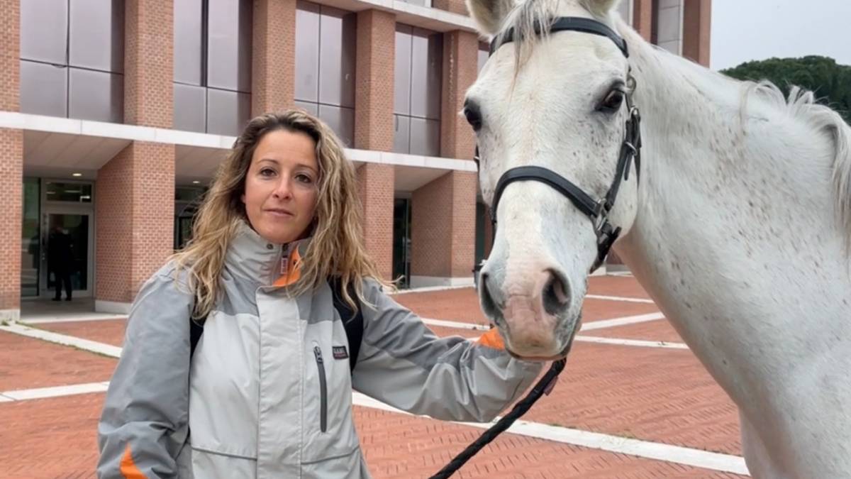 Cesena, “mi negano lo smart working, vado al lavoro a cavallo” VIDEO