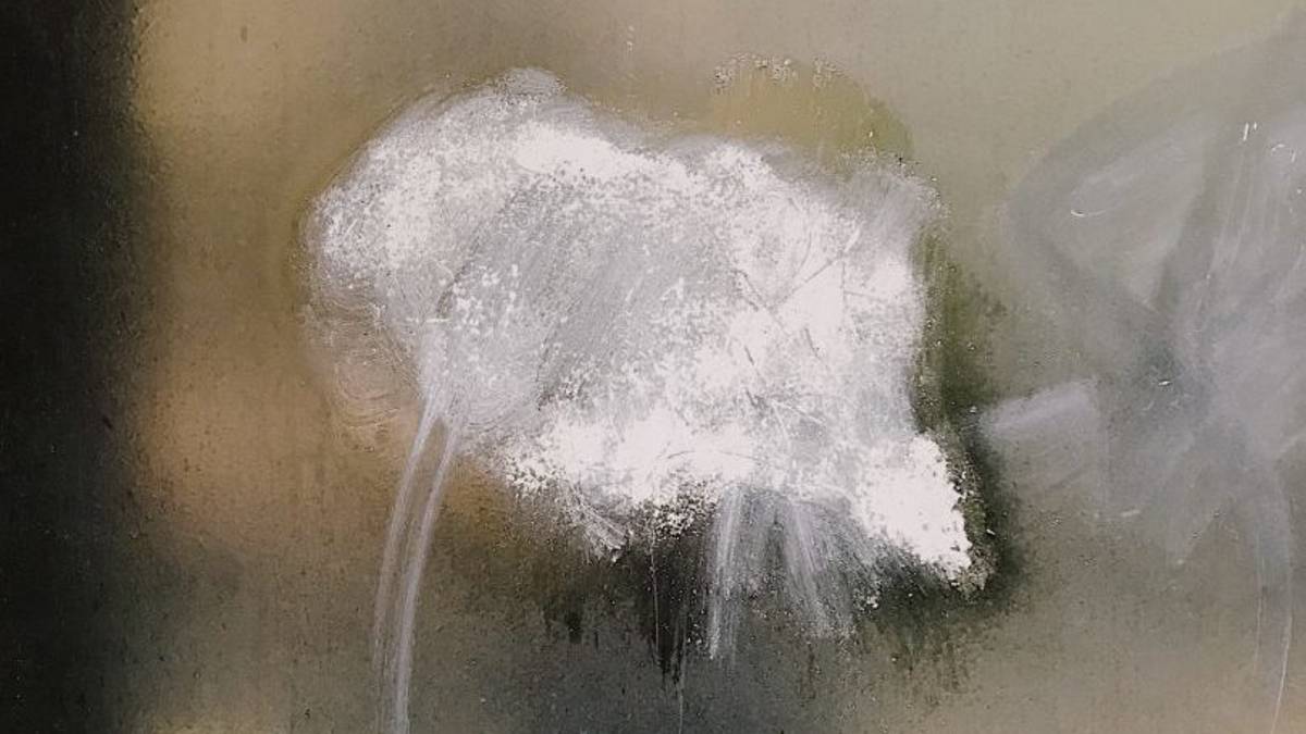 Ravenna, spaccio di cocaina: due arresti