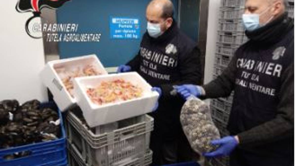 Cesenatico, scadenza degli scampi allungata di 2 anni: denunciato