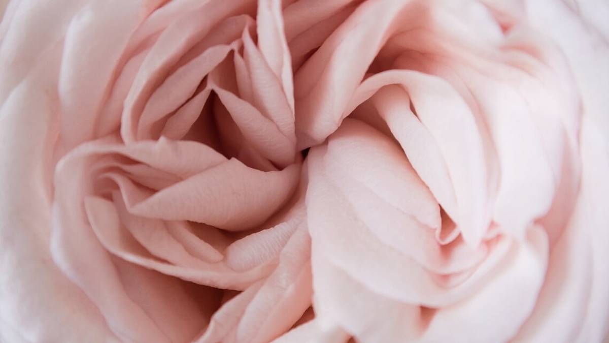 Le farmacie Sfera eliminano la Tampon Tax per gli assorbenti