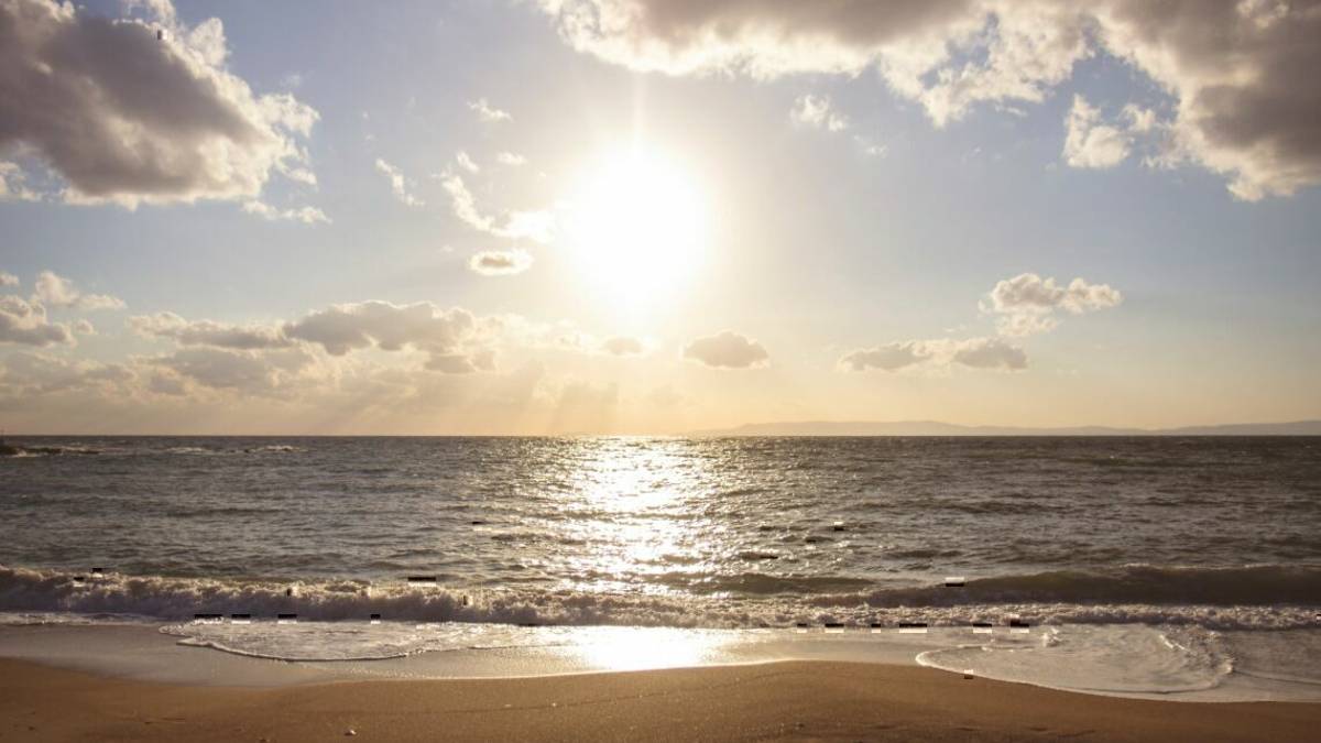 Hotel Solemare: il tuo benessere a Milano Marittima
