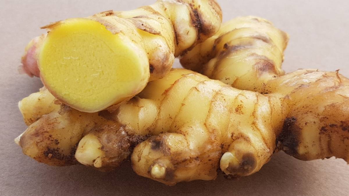 Nasce in Romagna il Consorzio dello zenzero 100% made in Italy&nbsp;