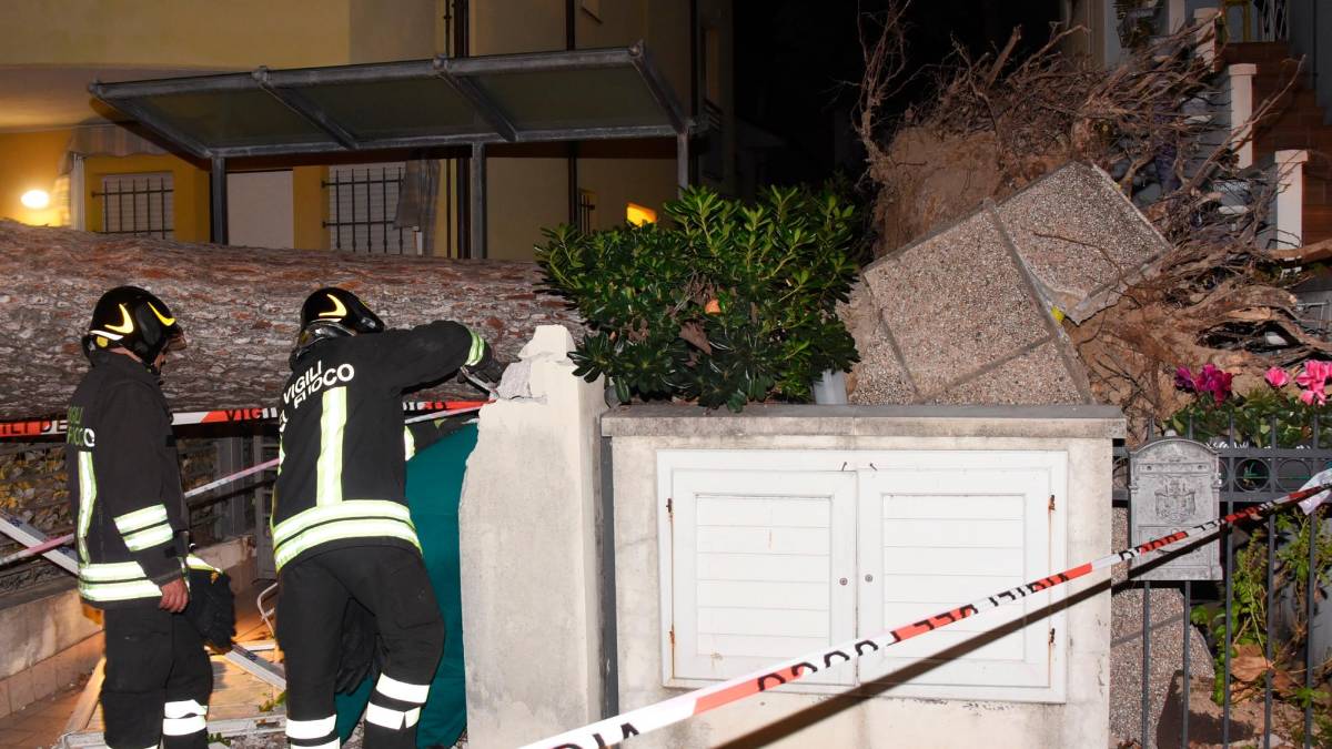 Romagna devastata dalle raffiche di vento: alberi crollati su case, auto e strade. Feriti a San Marino. Famiglie senza luce. Il fiume Montone oltre la soglia rossa