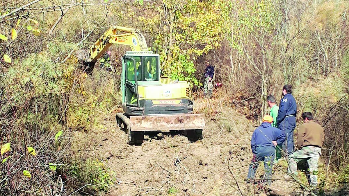 Brisighella, cane cade in una tana. I soccorsi non bastano a salvarlo