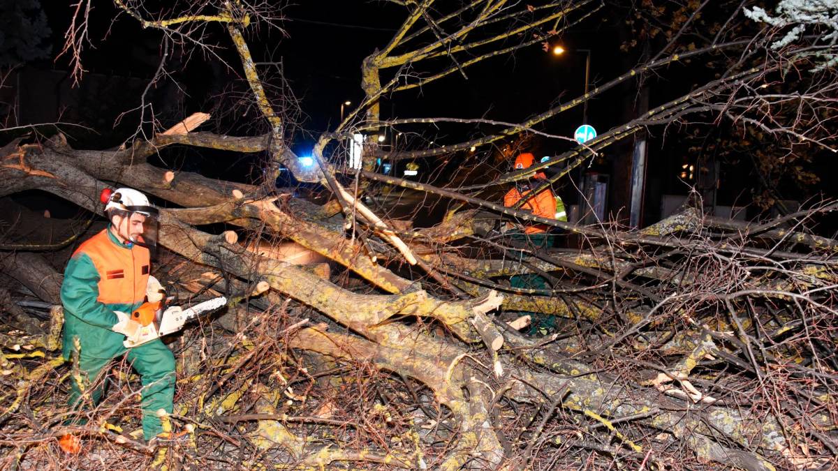Romagna devastata dalle raffiche di vento: alberi crollati su case, auto e strade. Feriti a San Marino. Famiglie senza luce. Il fiume Montone oltre la soglia rossa