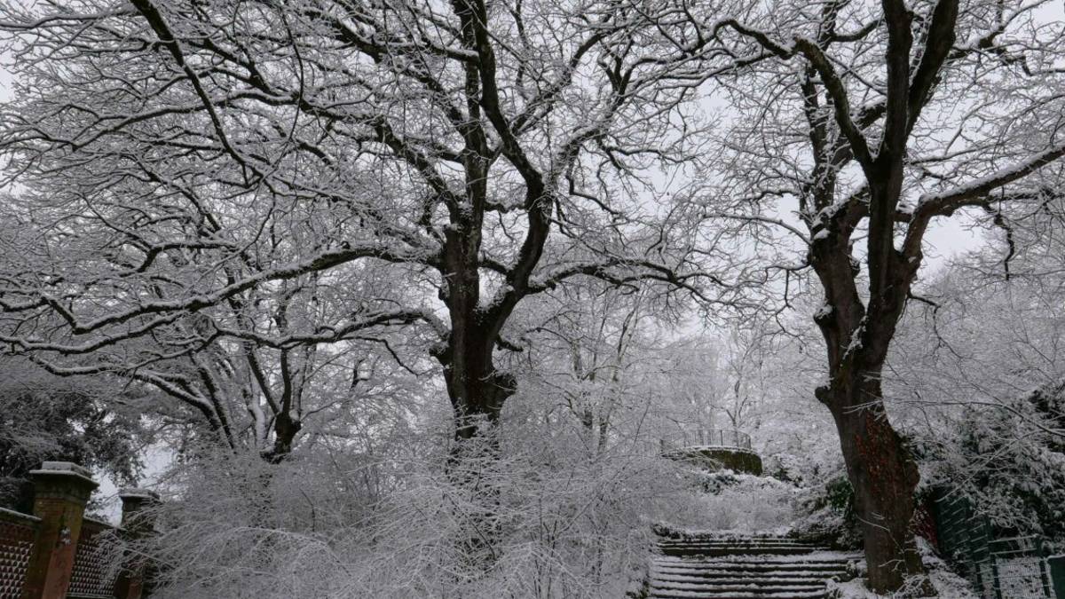 Imola, la neve al Parco delle Acque Minerali