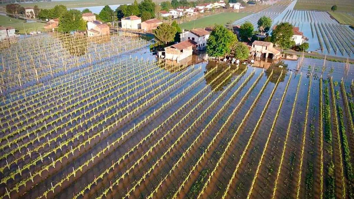 Faenza, “Il mio terreno devastato dall’alluvione, ma in due anni non ho visto un euro”