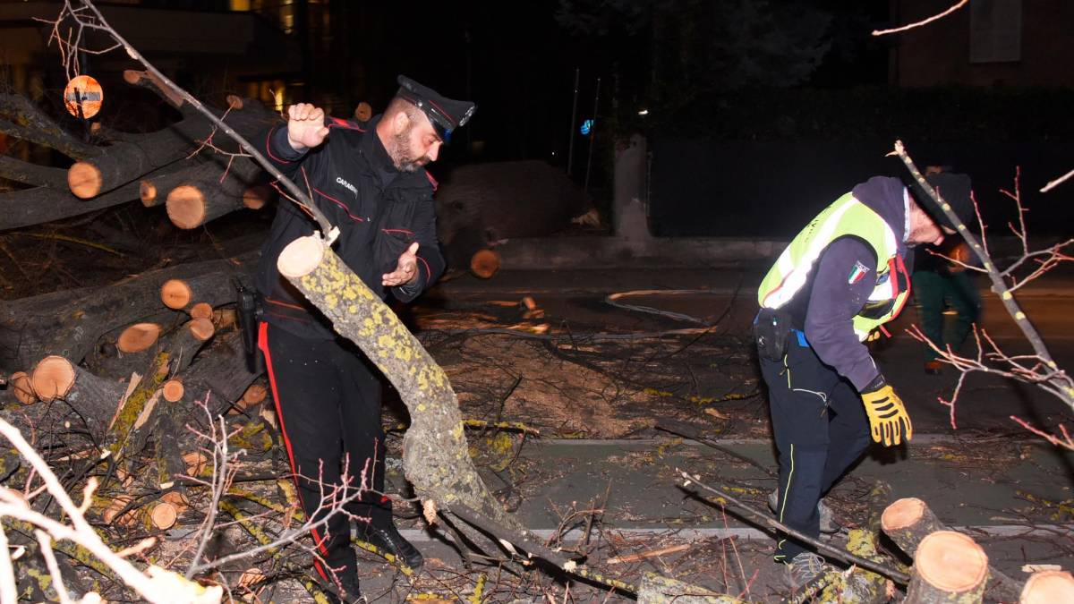 Romagna devastata dalle raffiche di vento: alberi crollati su case, auto e strade. Feriti a San Marino. Famiglie senza luce. Il fiume Montone oltre la soglia rossa