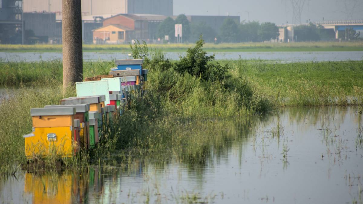 Maltempo in Romagna: Agricoltura, situazione al limite e la politica va in vacanza