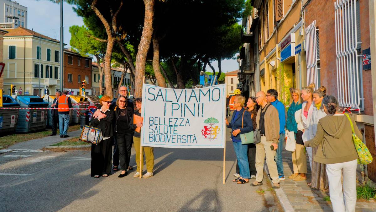 Una recente manifestazione a difesa dei pini