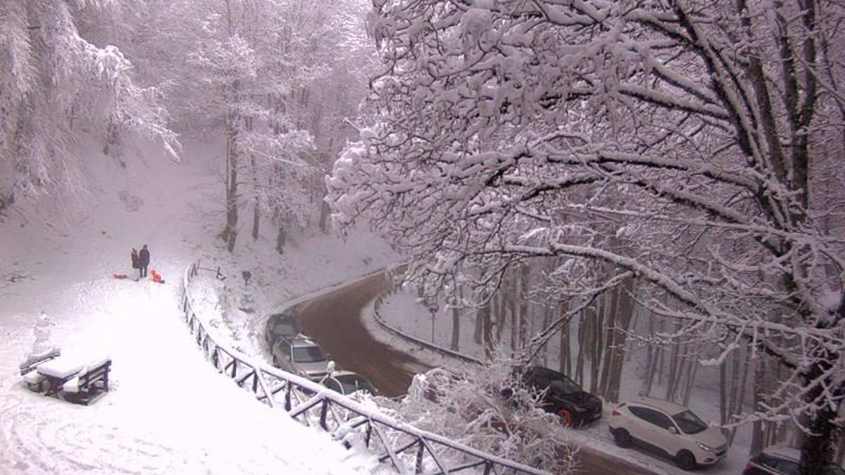 Lo chalet Burraia a Campigna