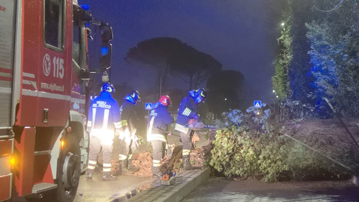 Faenza, allarme incendi: ordinanza per i proprietari di terreni lungo la ferrovia