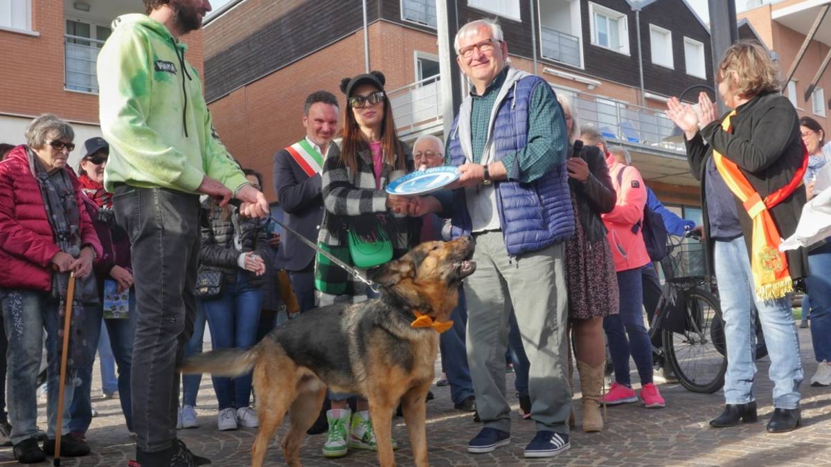 Da turista a cittadino onorario, il cane superstar Marley (con papillon) torna a Marina di Ravenna - Gallery