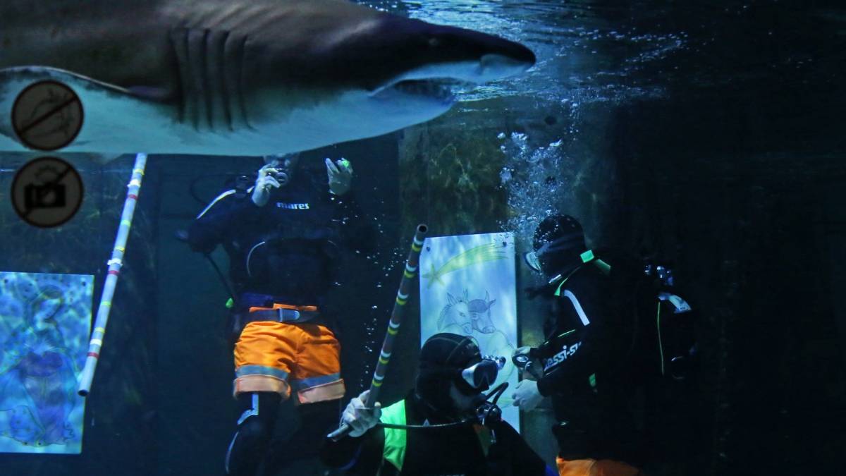 All'Acquario di Cattolica allestito un Presepe tra gli squali - VIDEO