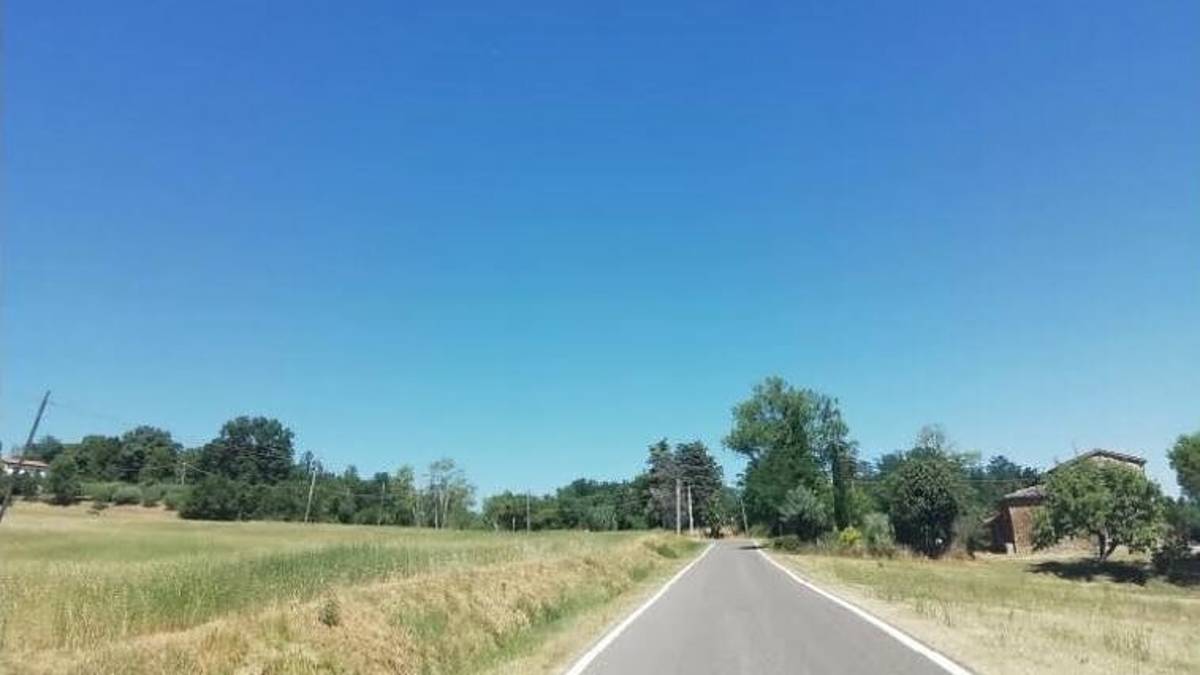 Allarme per le cavallette nella campagna di Cesena