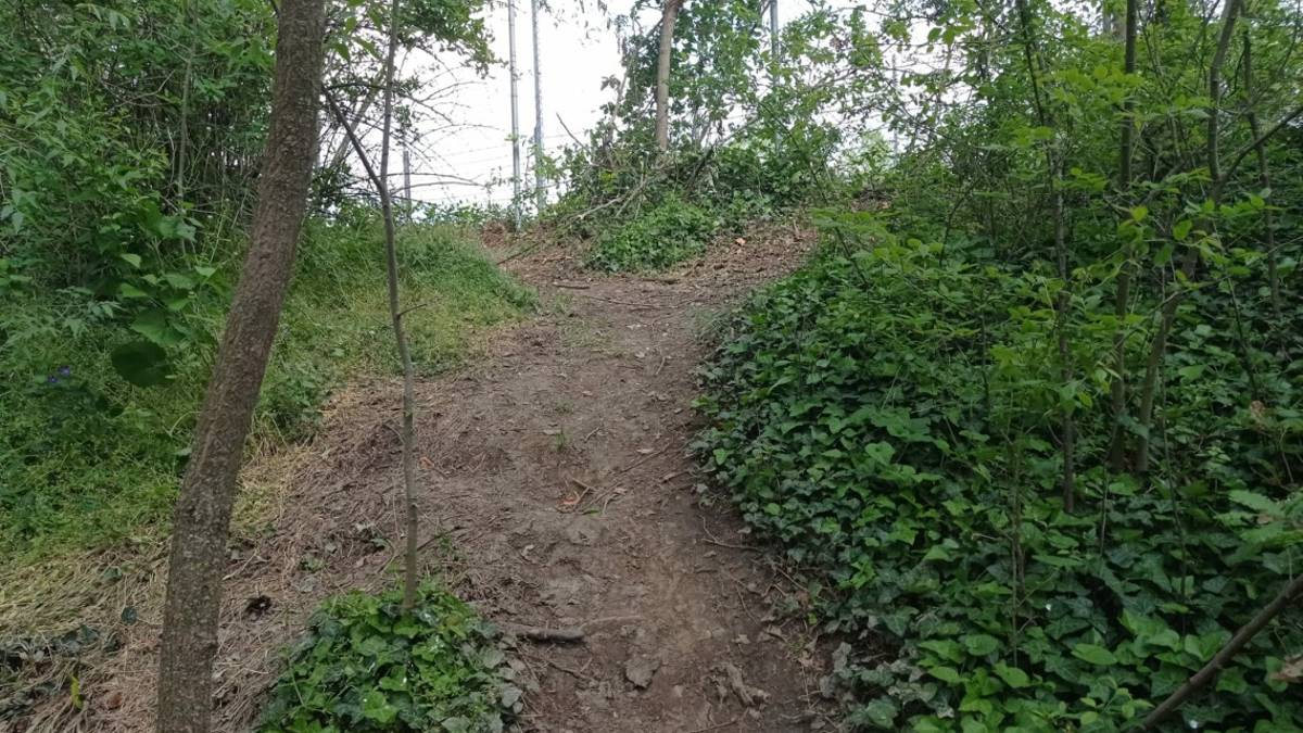 Imola, Legambiente: Parco delle Acque Minerali danneggiato dalla Formula Uno