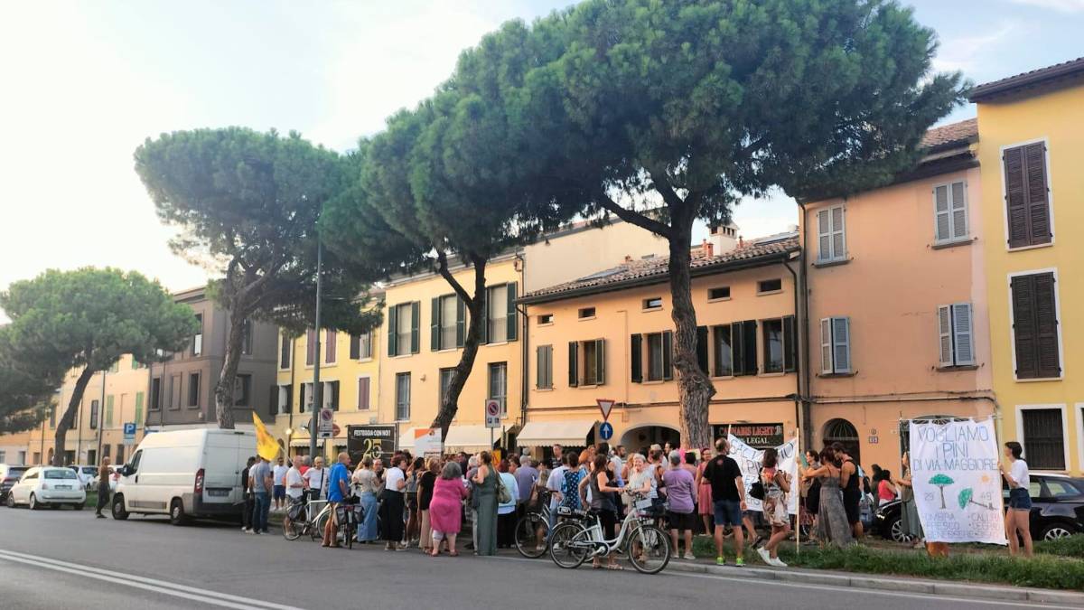 Ravenna, lecci al posto dei pini in via Maggiore