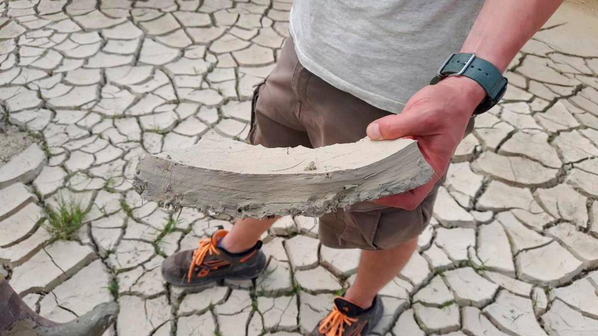 Cesena, ripartire dopo l’alluvione: il progetto di Ri.Nova di monitoraggio del suolo e attività didattiche per gli studenti