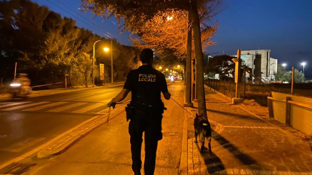 Riccione, il cane antidroga lo rende nervoso: aveva 400 dosi di hashish