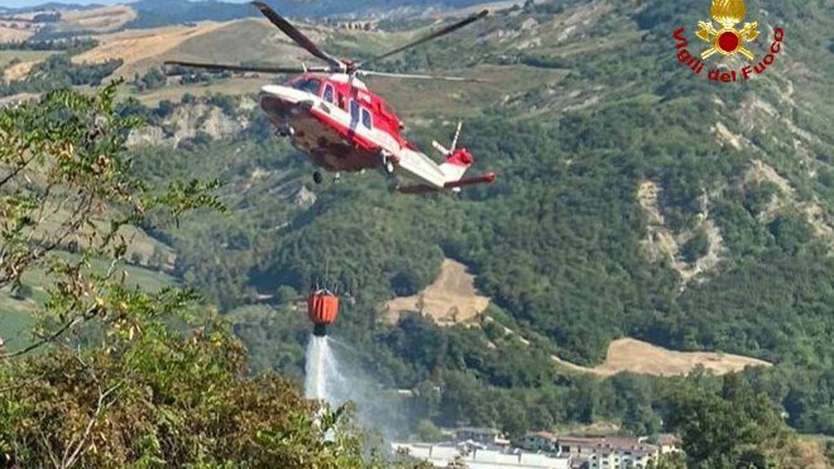 Cusercoli, incendio nel bosco