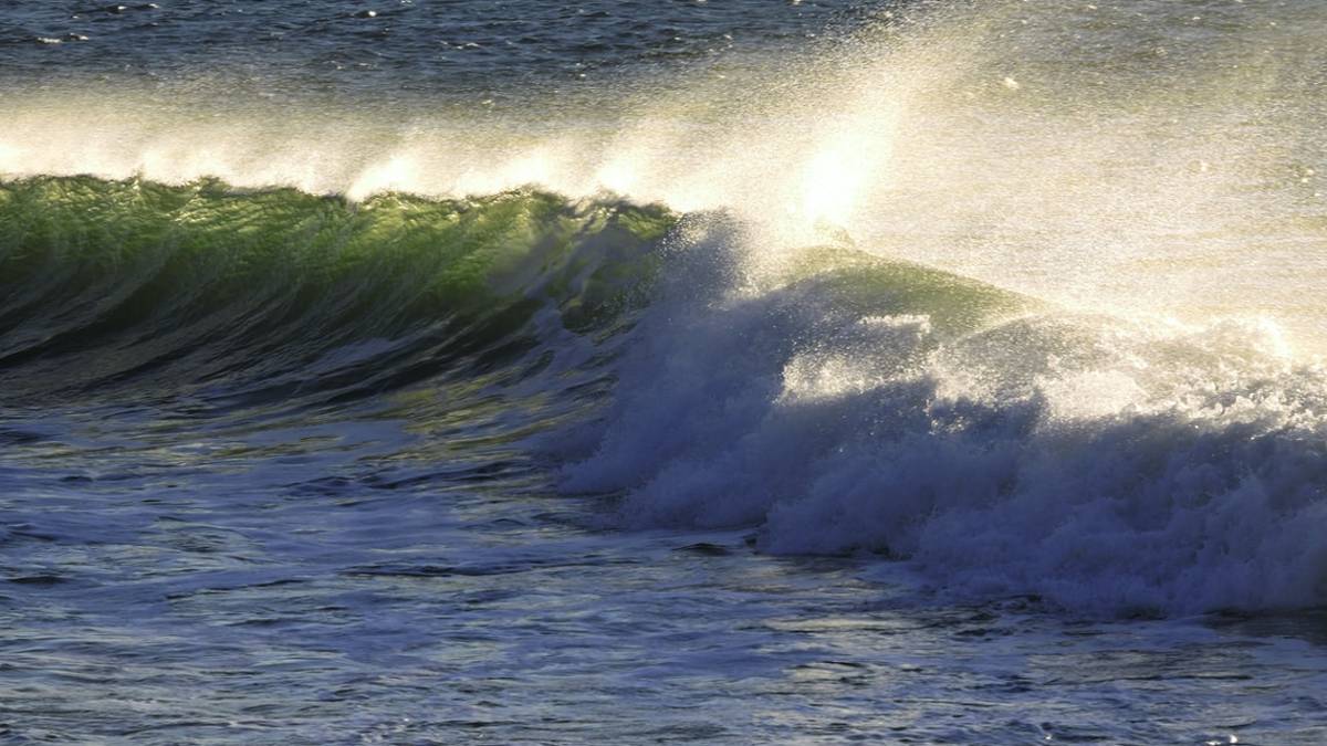 Vento forte, allerta meteo gialla sulla costa fino alla mezzanotte di domenica