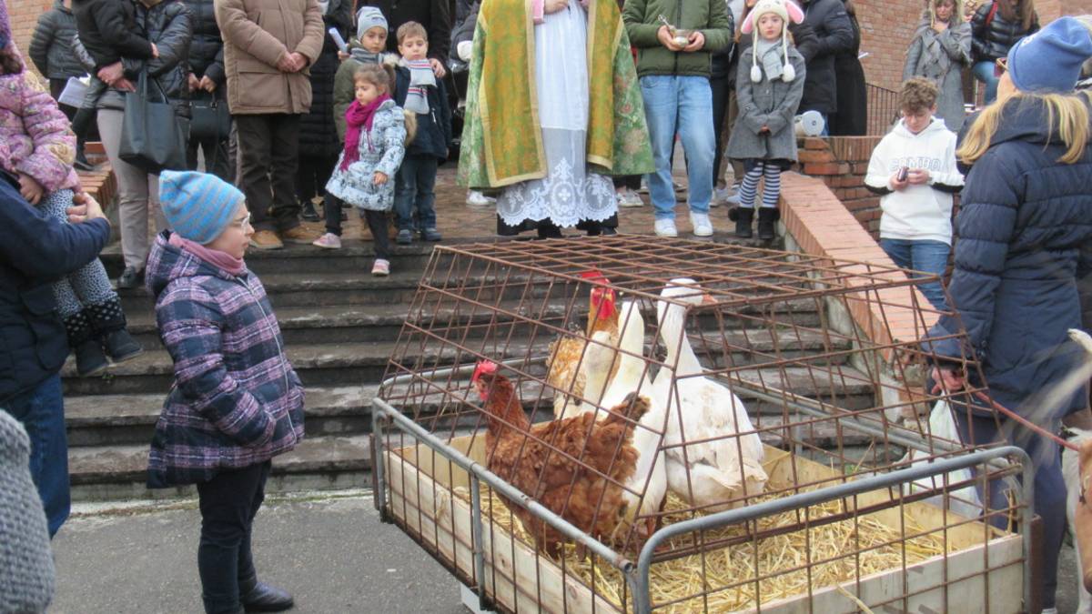 Cesena, alla festa di Sant'Antonio i panini in sacchetti singoli: una scelta del parroco già dal 2013