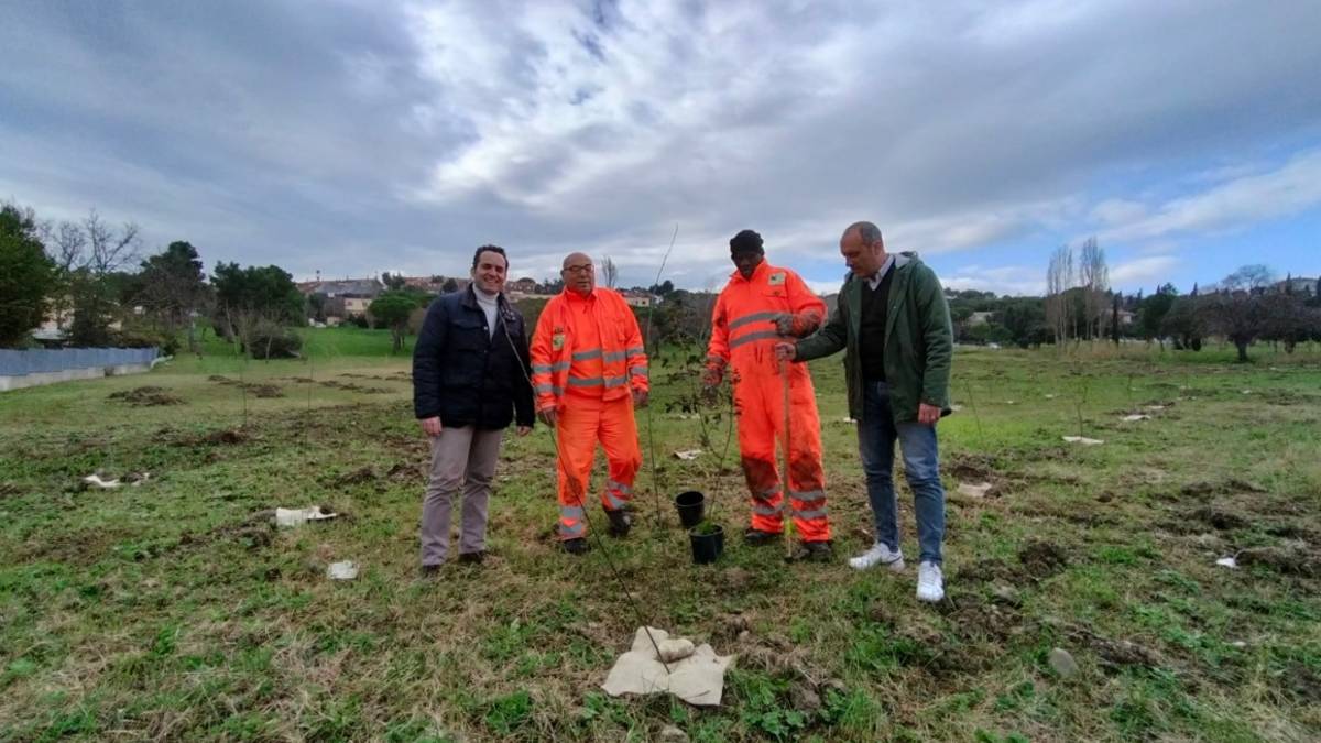Riccione, il nuovo bosco sta crescendo - Gallery