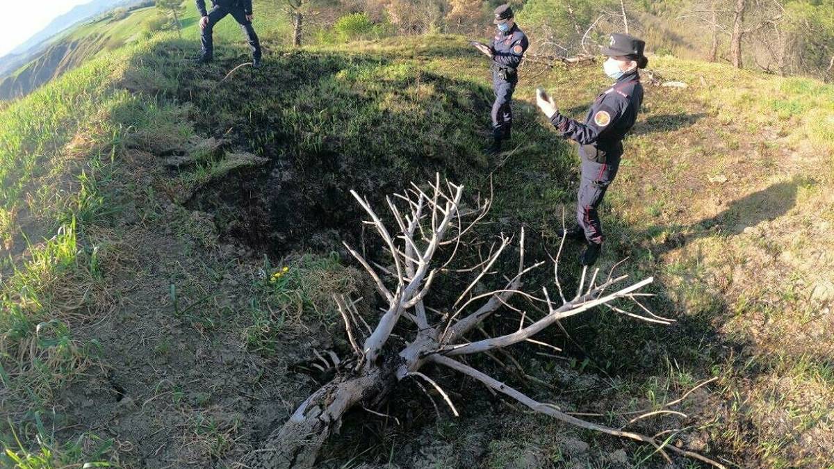 Allarme incendi boschivi nella Valle del Savio e a Sogliano