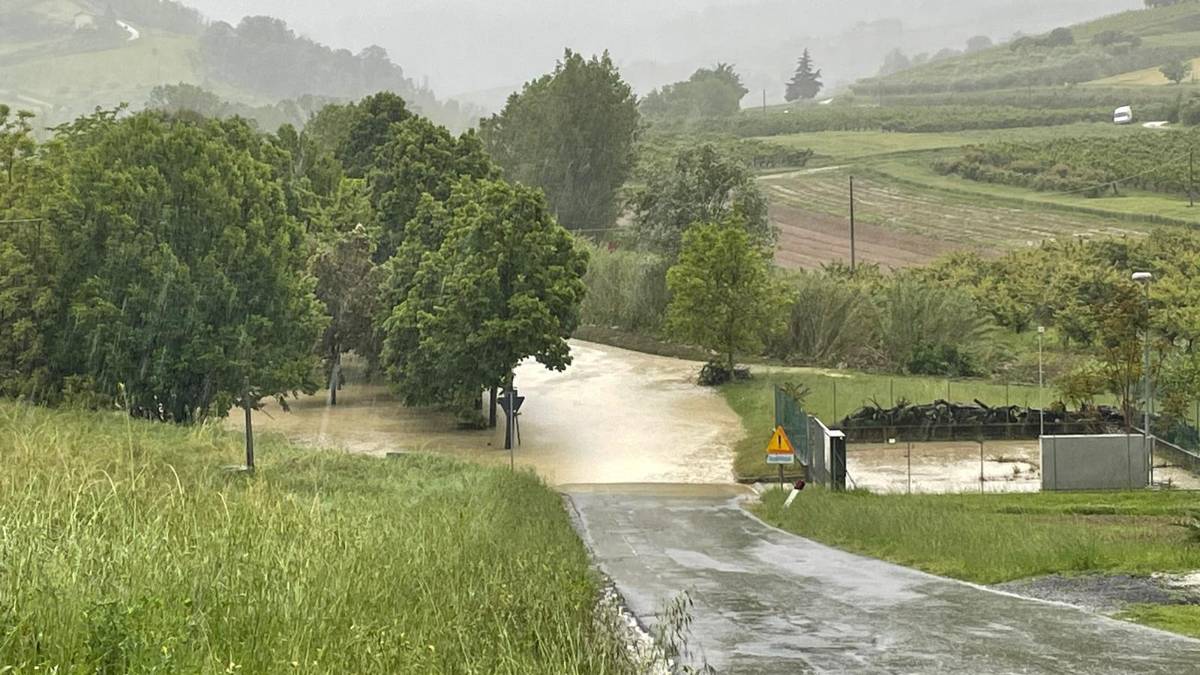 Maltempo in Romagna, i corsi d'acqua a rischio di piena: preoccupano Voltre, Pisciatello e Savio nel Forlivese e nel Cesenate