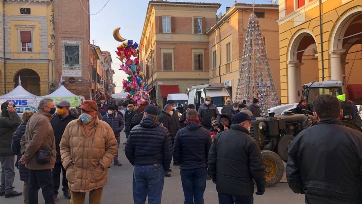 Massa, celebrazioni del patrono: tante le iniziative