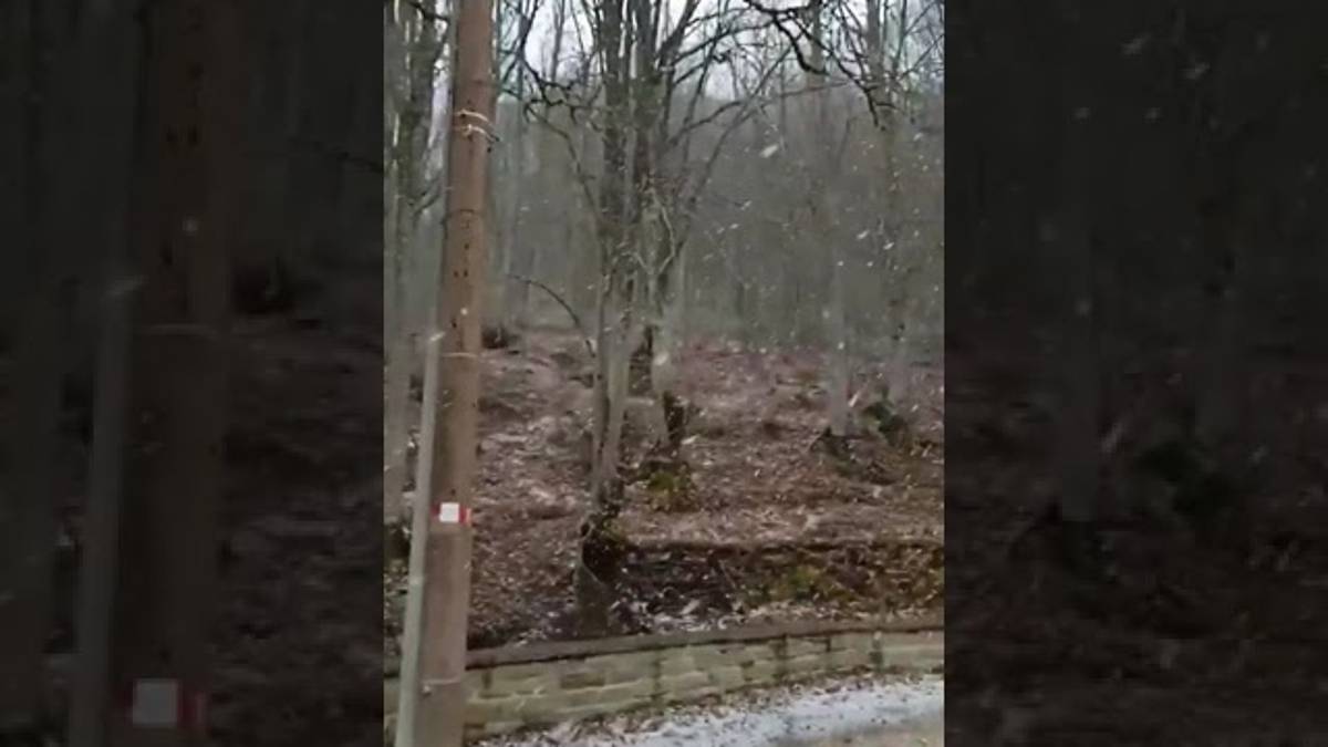 Meteo Romagna, un lunedì col sole dopo una Pasqua con fiocchi di neve sull'Appennino VIDEO