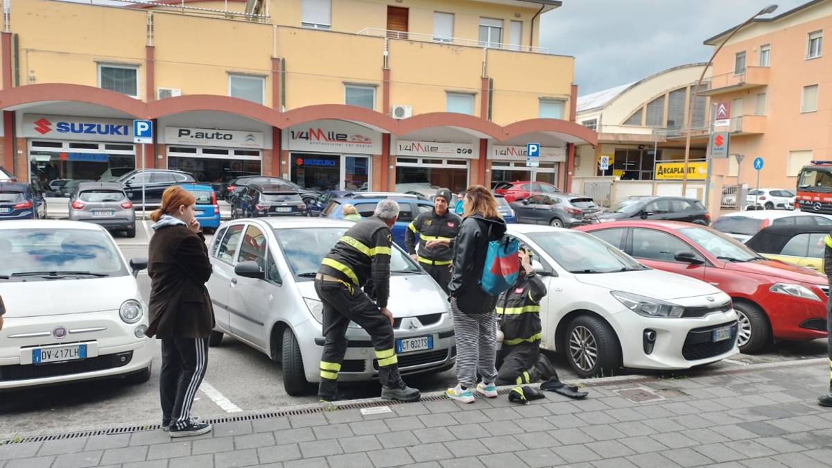 Cesena, gattino intrappolato nel vano motore di un'auto salvato dai Vigili del Fuoco