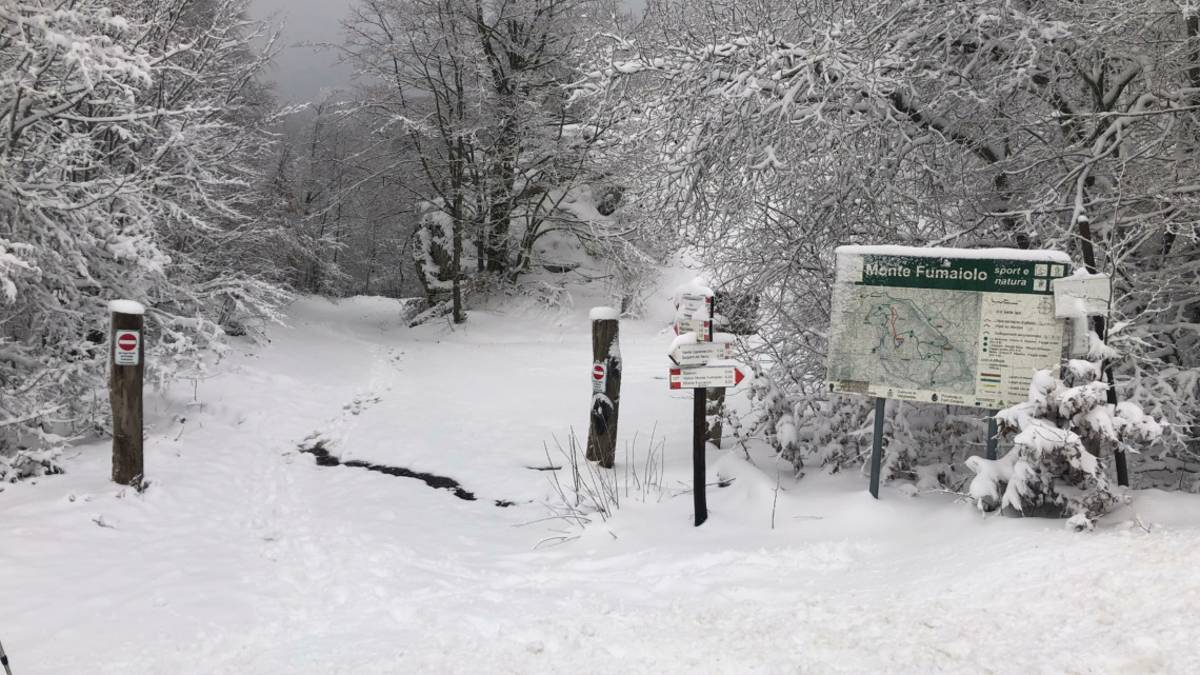 Meteo, domenica allerta gialla: arriva la neve in Romagna
