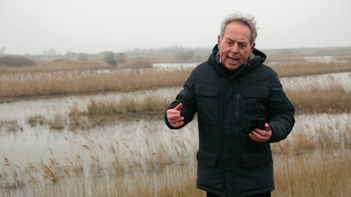 Ravenna, ecco Acqua Campus natura per tutelare tartarughe, uccelli acquatici e territorio VIDEO