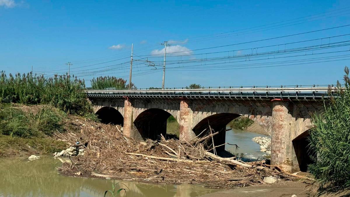 I tronchi ammassati sotto il ponte